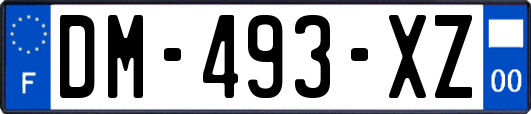 DM-493-XZ