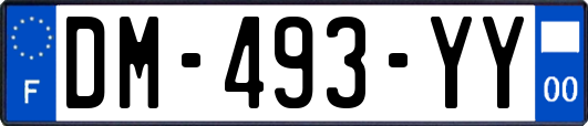 DM-493-YY