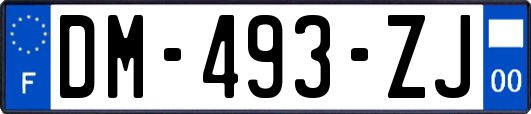 DM-493-ZJ