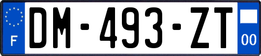 DM-493-ZT