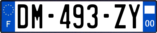 DM-493-ZY