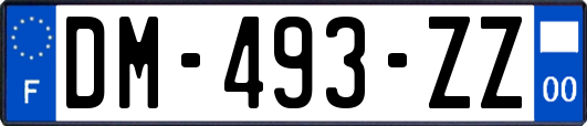 DM-493-ZZ