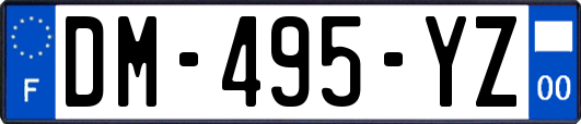 DM-495-YZ