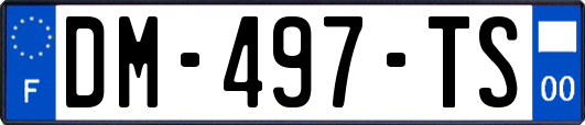 DM-497-TS