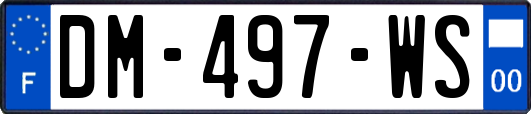 DM-497-WS