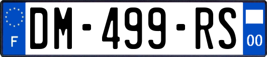 DM-499-RS