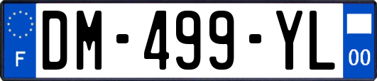 DM-499-YL