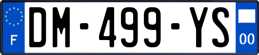 DM-499-YS