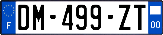 DM-499-ZT