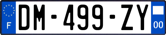 DM-499-ZY