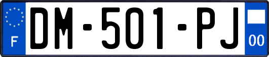DM-501-PJ