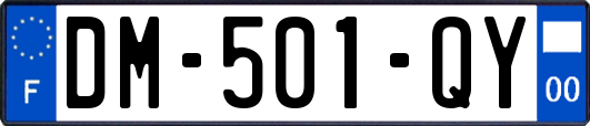 DM-501-QY