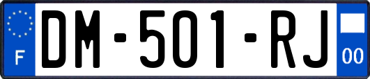 DM-501-RJ