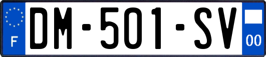 DM-501-SV