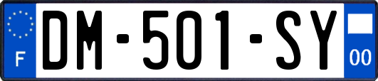 DM-501-SY