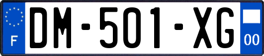 DM-501-XG