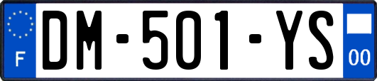 DM-501-YS