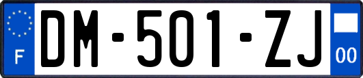 DM-501-ZJ