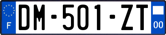 DM-501-ZT