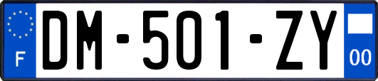 DM-501-ZY