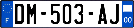 DM-503-AJ