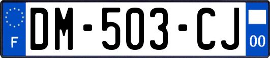 DM-503-CJ