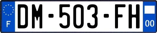 DM-503-FH