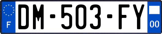 DM-503-FY