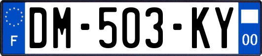 DM-503-KY