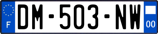 DM-503-NW