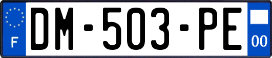 DM-503-PE