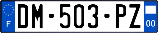 DM-503-PZ