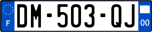 DM-503-QJ