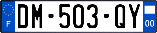 DM-503-QY