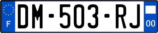 DM-503-RJ