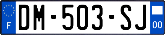 DM-503-SJ