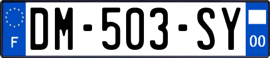 DM-503-SY
