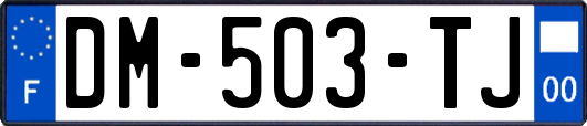 DM-503-TJ