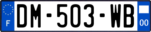 DM-503-WB