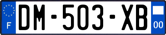 DM-503-XB