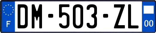 DM-503-ZL