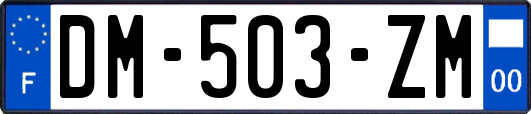 DM-503-ZM