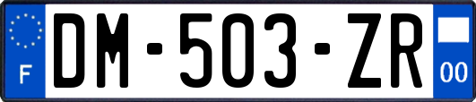 DM-503-ZR