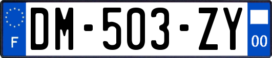 DM-503-ZY