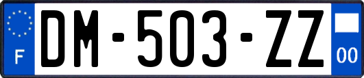 DM-503-ZZ