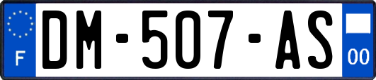 DM-507-AS