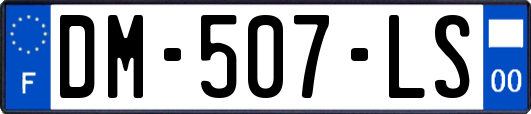 DM-507-LS