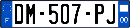 DM-507-PJ