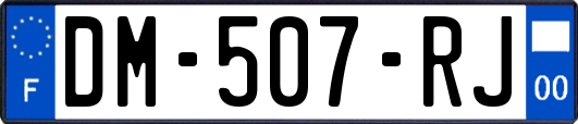 DM-507-RJ