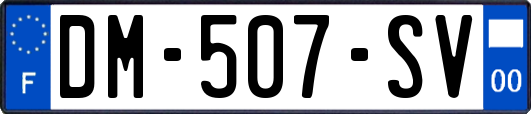 DM-507-SV